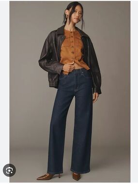 NWT Agolde Ren Wide Leg Jeans